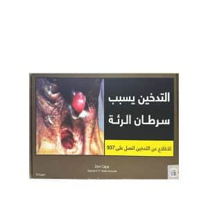 DON CAPA Special No 2 WIDE CHURCHIL 10 Cigars